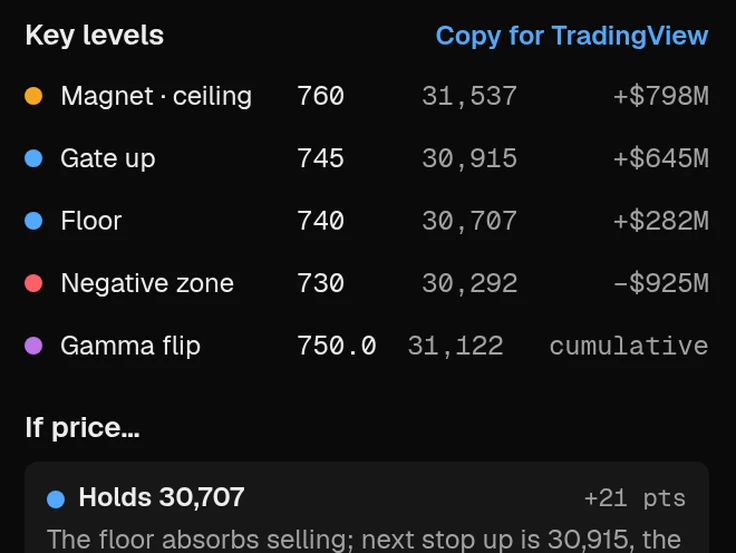 Key levels: magnet, gate, floor, negative zone and gamma flip with dollar gamma per strike